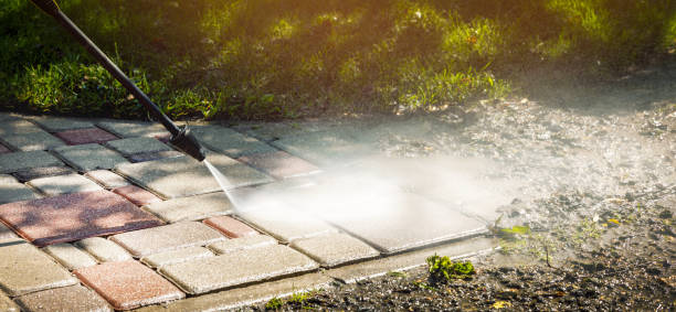 Best Solar Panel Cleaning  in Stafford Courthouse, VA